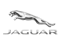 Jaguar Jaguar