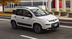 Fiat Pandina